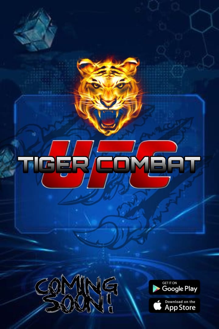 Tiger Combat 2